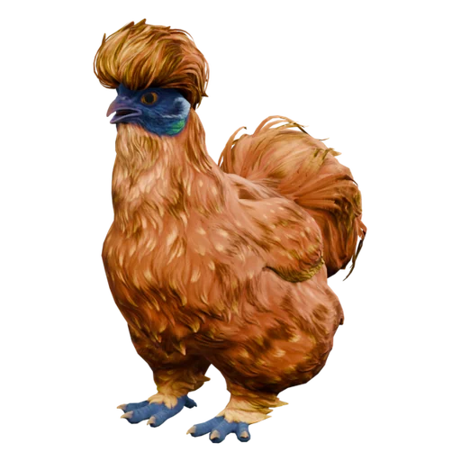 Silkie — Orange
